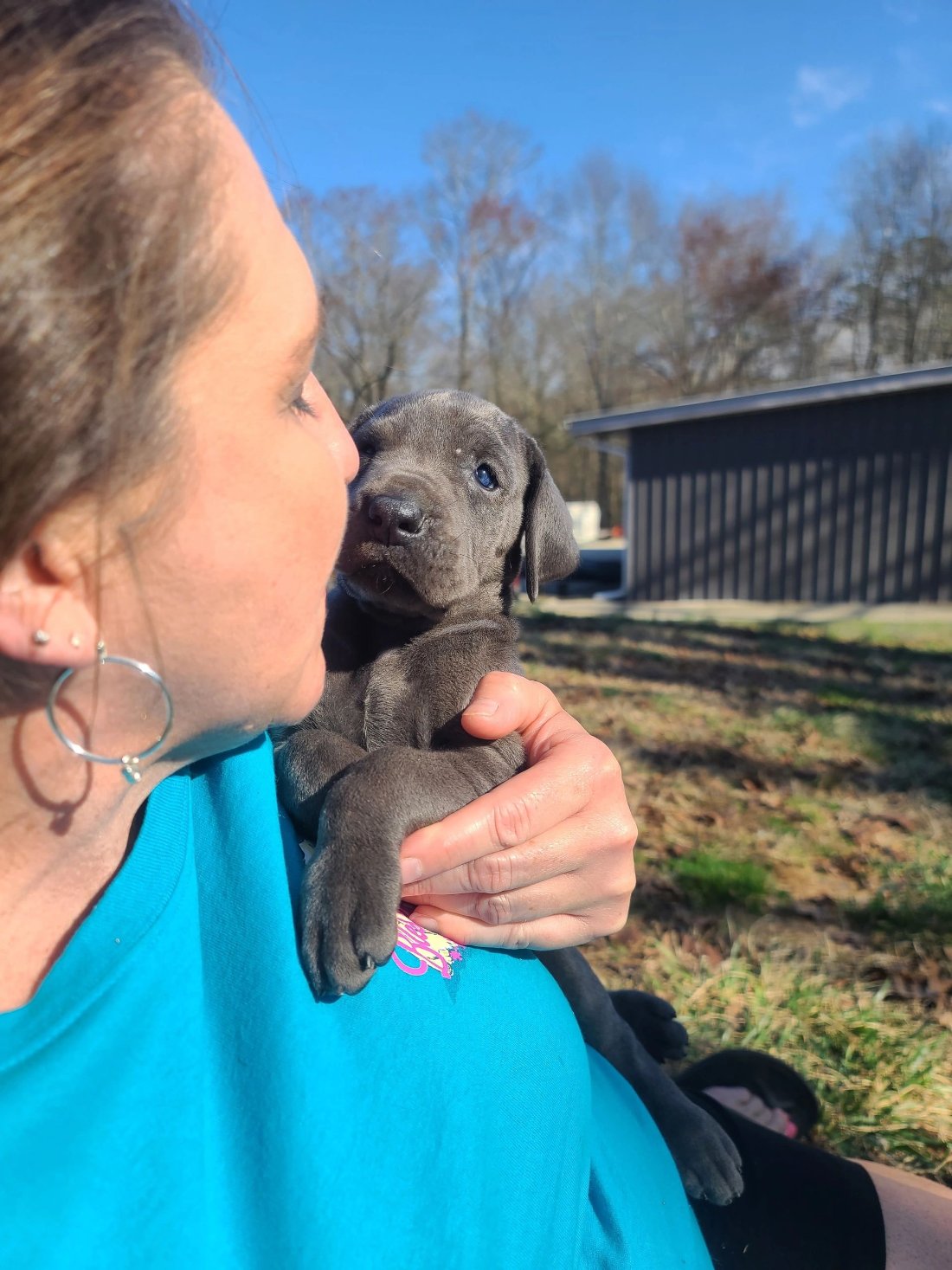 A puppy getting a kiss on the farm